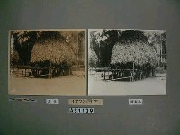 干欄式家屋藏品圖，第5張